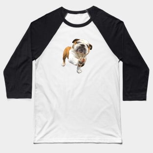 Bulldog Shake Shake Paws! Baseball T-Shirt